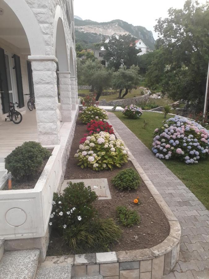 Apartmani Andrea Herceg Novi Buitenkant foto
